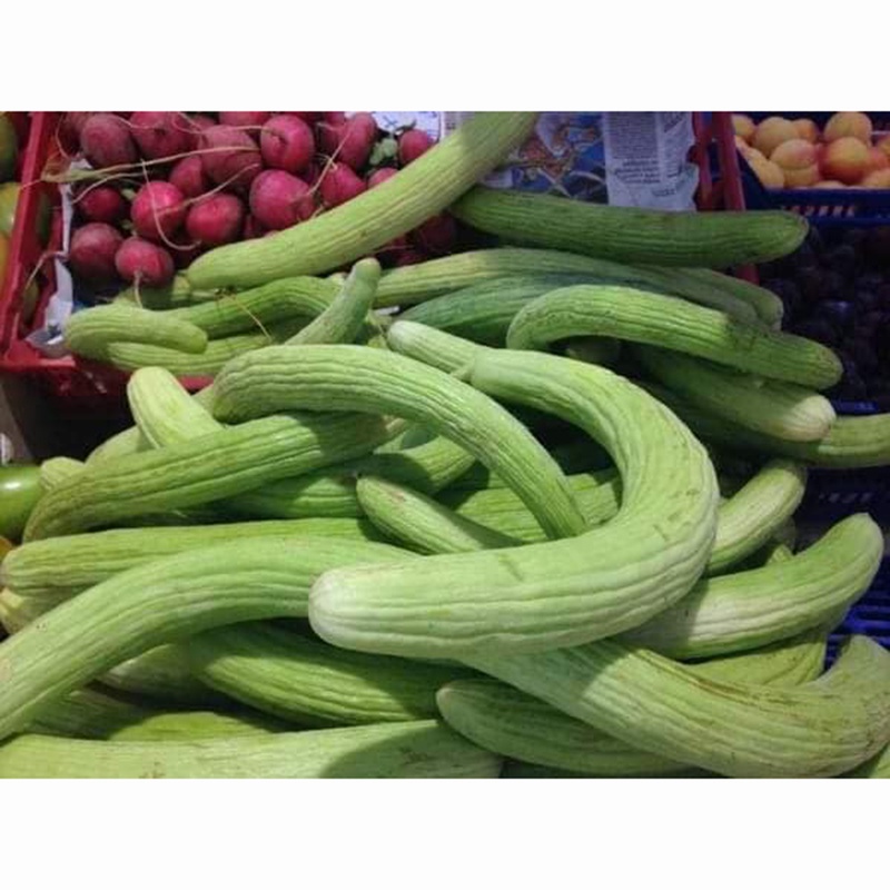Hạt giống dưa chuột rắn siêu dài F1 nhập Thái lan nguyên gói (Light Green Long Cucumber)