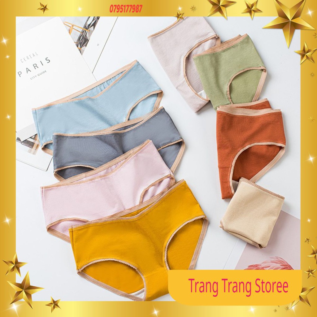 Quần Lót Cotton Sợi Bông Đa Sắc Cao Cấp