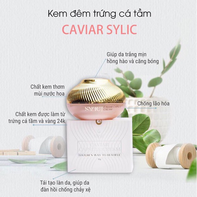 Caviar sylic ( kem đêm trứng cá tầm, vàng 24k)