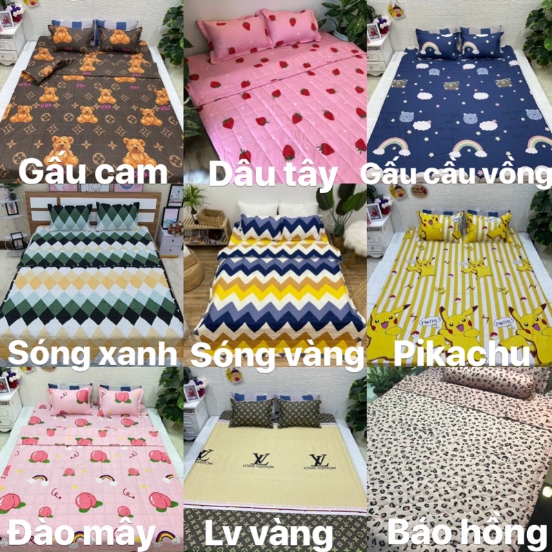 Bộ 1 Ga chun và 2 vỏ gối Cotton poly, chat chọn mẫu.