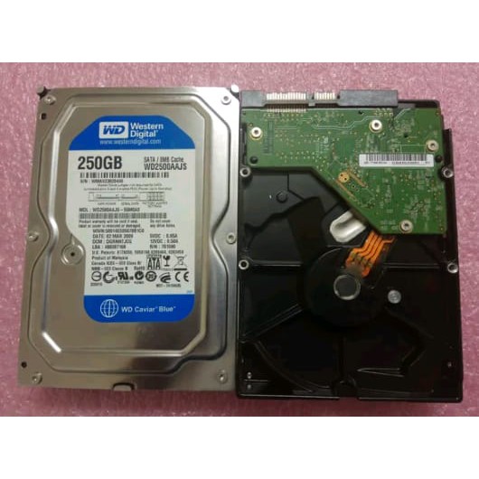 Ổ Cứng 250gb Sata Pc | BigBuy360 - bigbuy360.vn