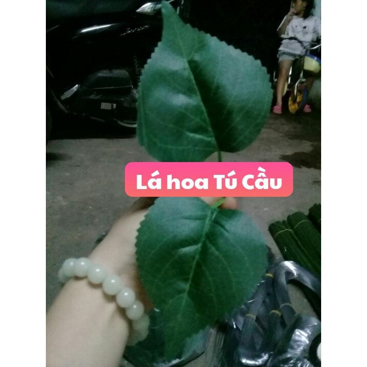 LÁ HOA HỒNG 🍅FREESHIP🍅Giảm 10K Khi Nhập [PHUOM10K] 100g lá hoa