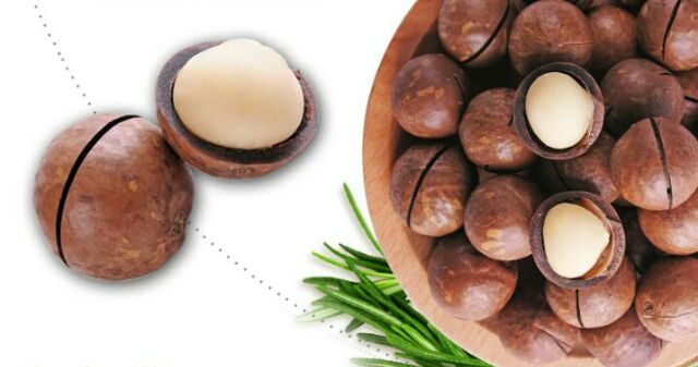 0,5kg Hạt mắc ca tây nguyên