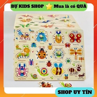 Bảng ghép hình núm - Đồ chơi gỗ thông minh cho bé, kích thước 22*30*2cm