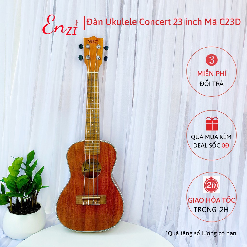 Đàn ukulele concert C23D Enzi 23 inch gỗ mộc trơn giá rẻ cho bạn mới bắt đầu tập chơi