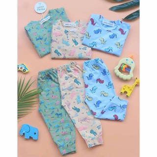 Combo 10 bộ áo cotton dài tay cho bé