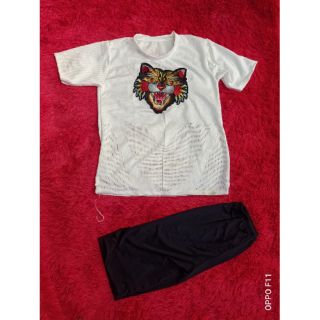 Combo 4 bộ ngố giá 200k