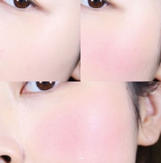 Phấn má hồng Bourjois Sculpting Duo Effect Blush