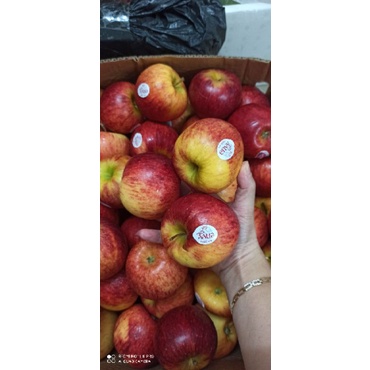 Táo Envy New Zealand