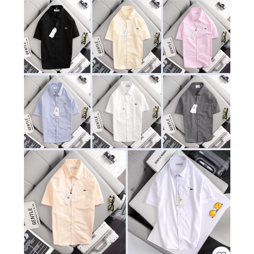 Áo sơ mi nam ngắn tay LC màu vàng nhạt oxford cao cấp, thoáng mát, hút mồ hôi - Đẳng cấp phái mạnh