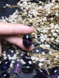 Lu thống florit sale 20-10