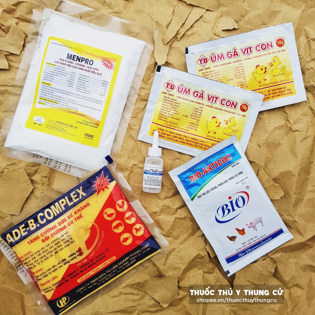 Bộ sản phẩm chăm sóc gà con