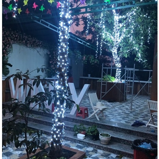Combo 60m LED dây cuốn cây F5 đổ keo chống nước . Tiết kiệm hơn mua lẻ