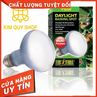 Đèn UVA Exo Terra 75w sưởi ngày cho bò sát