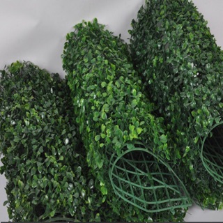 Thảm cỏ tai chuột ,cỏ xoong có hoa.Thảm cỏ trang trí treo cỏ tường(khách đọc rõ mô tả)