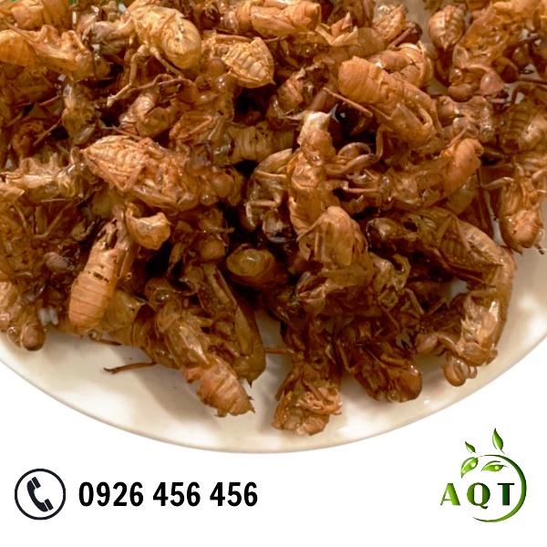 Xác Ve Sầu 500g (Loại Mới) Hỗ Trợ Người Cao Huyết Áp, Đau Đầu, Xác Ve Khô, Sạch, Loại Mới