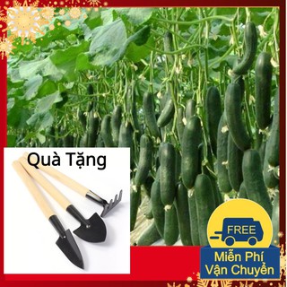 Hạt Giống Dưa Chuột Baby Tặng Bộ Dụng Cụ Mini Trồng Cây Tặng Bộ Dụng Cụ Mini Trồng Cây