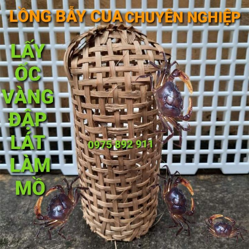 5 cái Lồng bẫy cua đồng