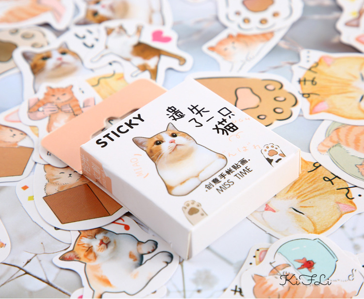 Sticker Dán Trang Trí Album Ảnh Hình Vuông Dễ Thương Sáng Tạo