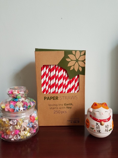 Hộp ống hút giấy Biogreen thân thiện môi trường | BigBuy360 - bigbuy360.vn