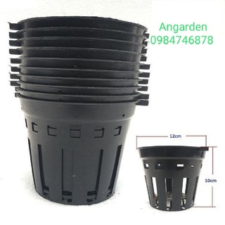 Chậu nhựa trồng lan F12