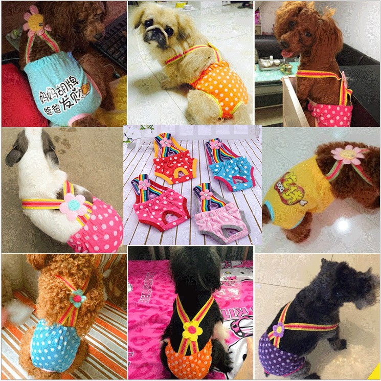 Quần Lót Sinh Lý Cho Thú Cưng