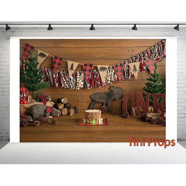 Tranh Canvas 1m5x2m - Phông chụp hình Baby 110