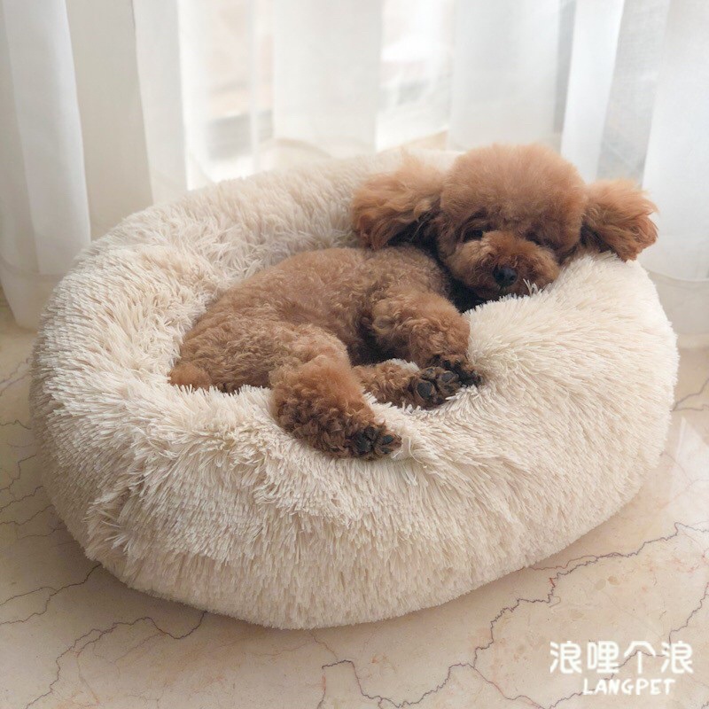 Đệm lông ấm áp cực xinh cho thú cưng