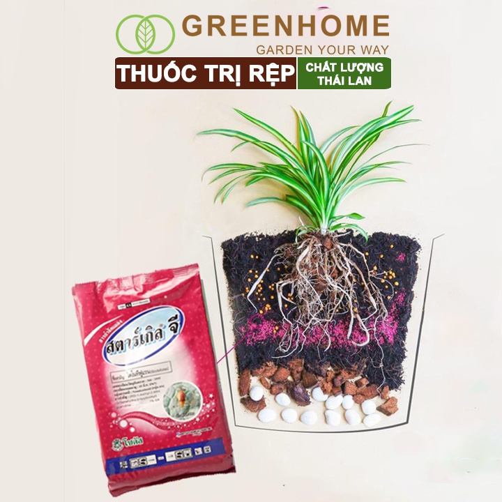 Thuốc tím trị rệp, Starkle-G, bao 1kg, lưu dẫn, an toàn, hiệu quả, dùng cho sen đá, xương rồng |Greenhome