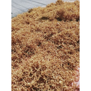 Măng khô rối 1kg