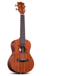 ukulele andrew concert