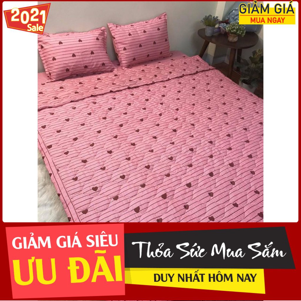 sale sốc bộ ga gối hè poly ct 07