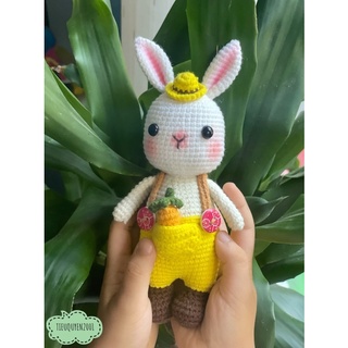 Thỏ yếm đựng cà rốt