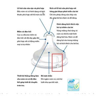 Núm ti pigeon nội địa