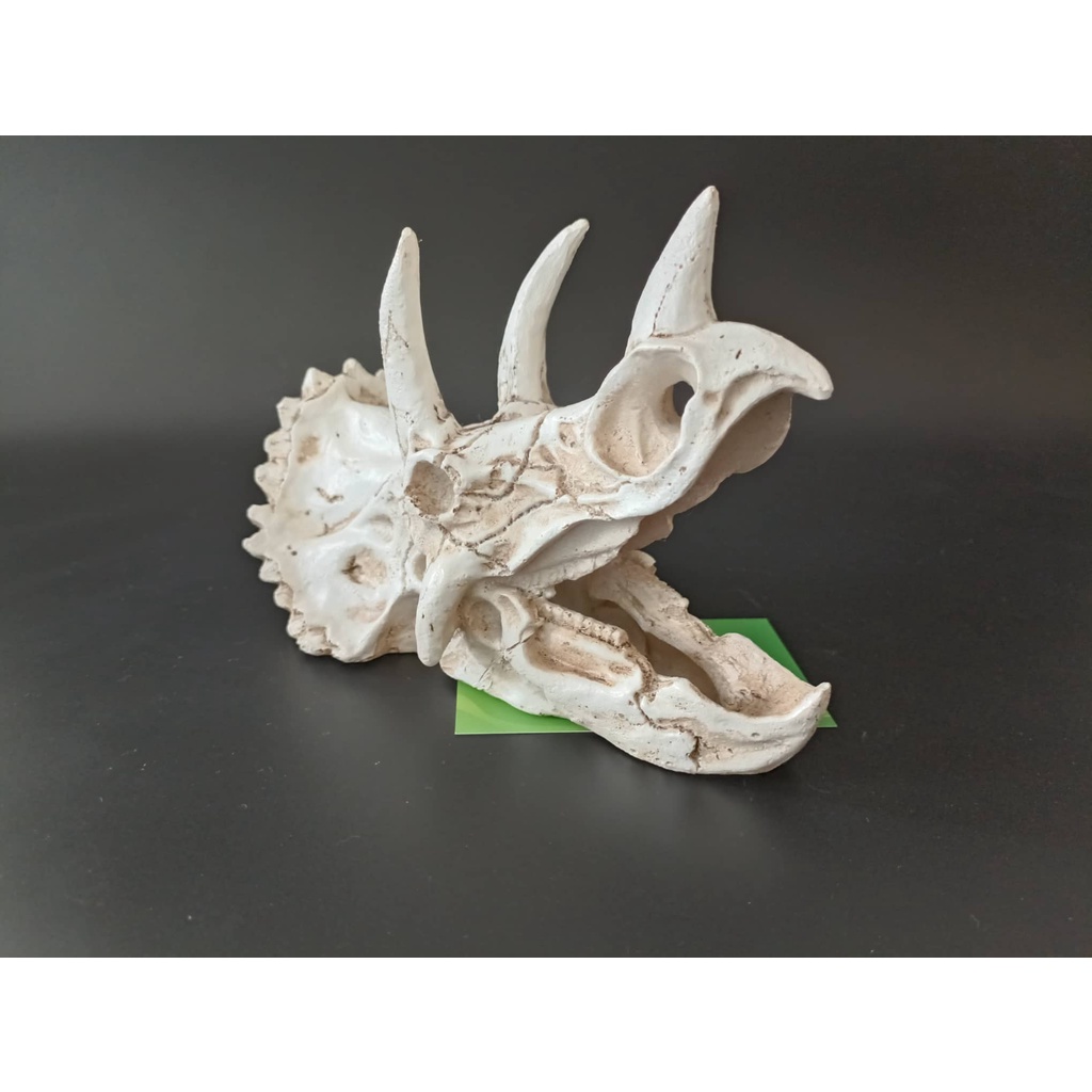 Mô hình trang trí sọ khủng long cho chuồng nuôi