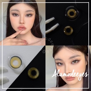 Lens new nâu Ruby trong viền xanh dương đậm