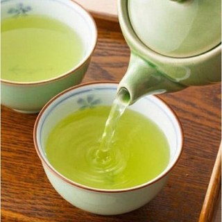 Com bo 7 cây chè xanh giống