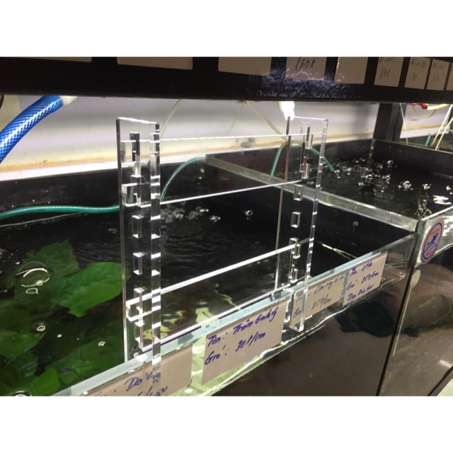 Chân gác đèn thuỷ sinh