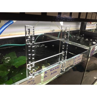 Chân gác đèn thuỷ sinh