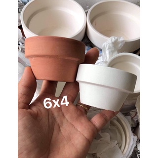Chậu đất nung trồng sen đá