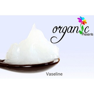 Vaseline dưỡng ẩm