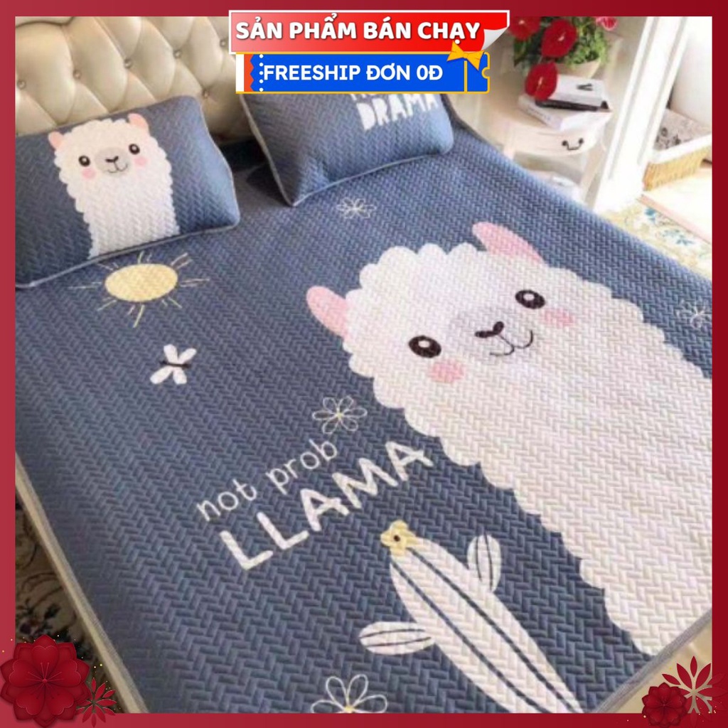 Sẵn hàng CHIẾU ĐIỀU HOÀ TENCEL 3D ( Tặng kèm túi xách + túi zip ) .