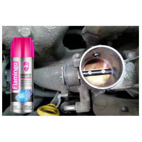 Xịt Chế Hòa Khí- Vệ sinh bình xăng con- Xe Ô Tô Flamingo F005 450ml