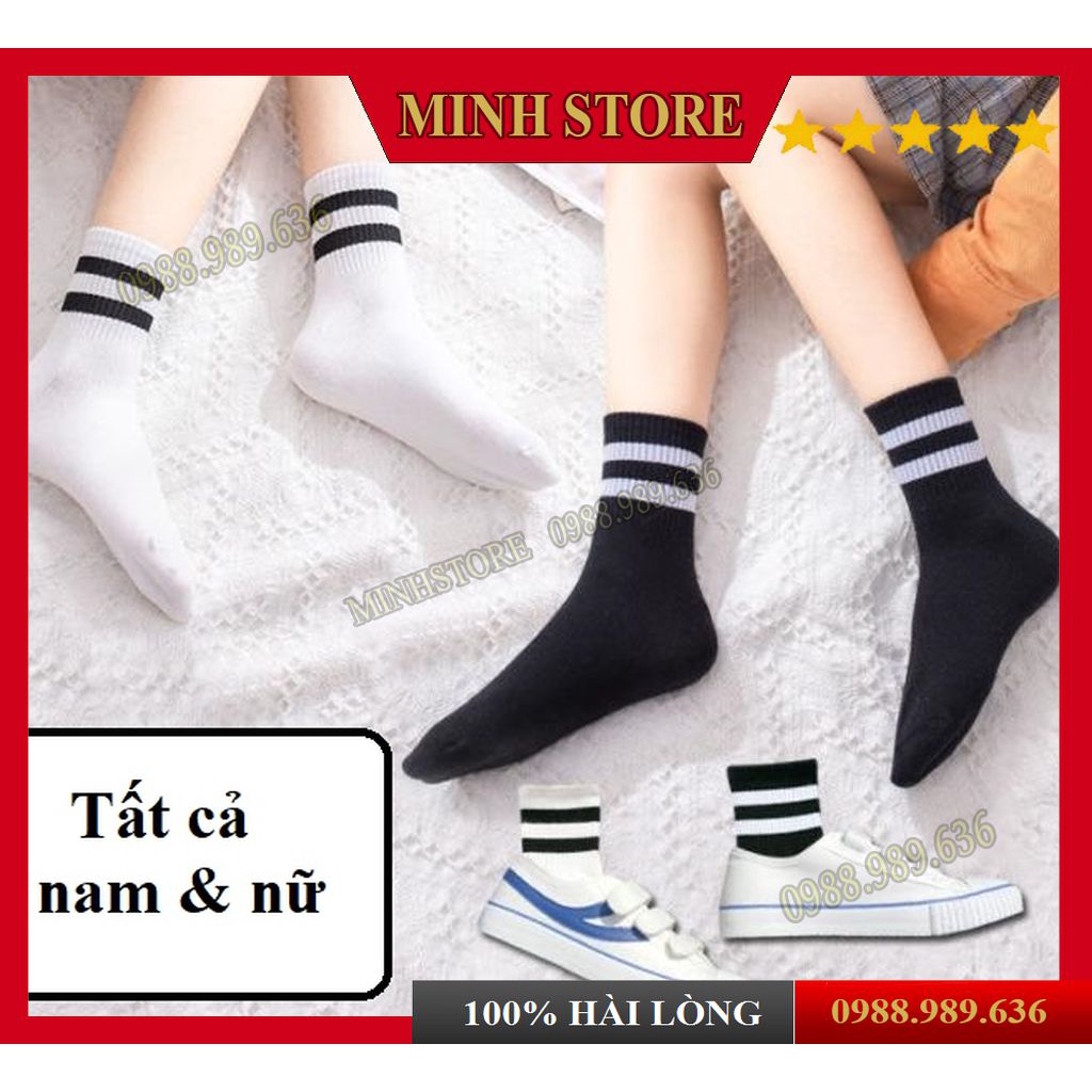 ⚡️ TẤT CỔ NGẮN KẺ SỌC HÀN QUỐC BT08