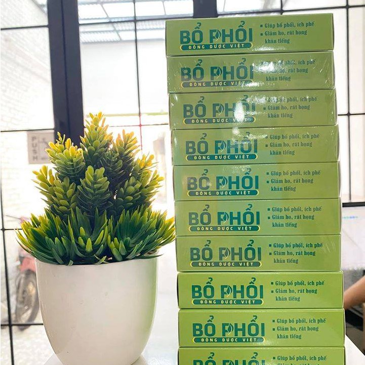 Bổ phổi Đông Dược Việt - Hỗ trợ bổ phế, tăng cường hệ hô hấp (Dạng ống và viên)