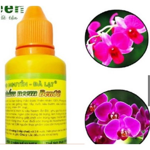 TINH DẦU THẢO MỘC HÙNG NGUYỄN NEEM BEN 02