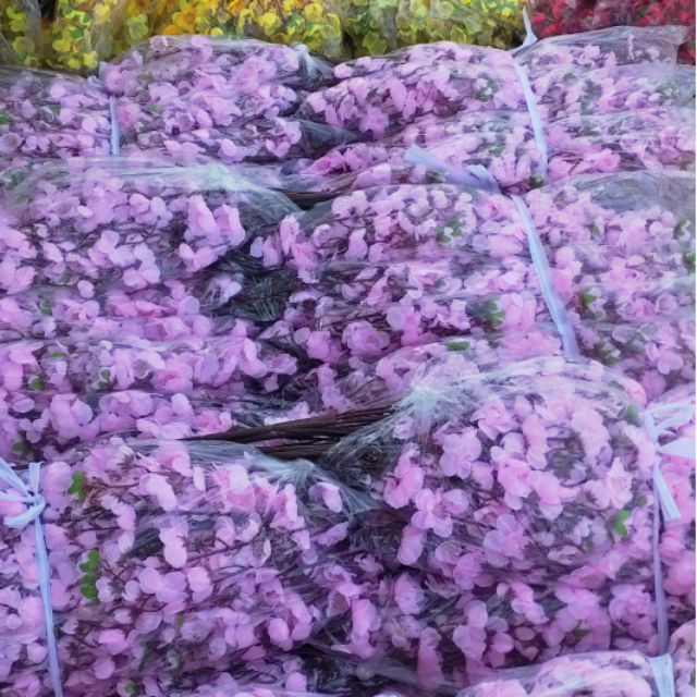 mai đào cành. 15k