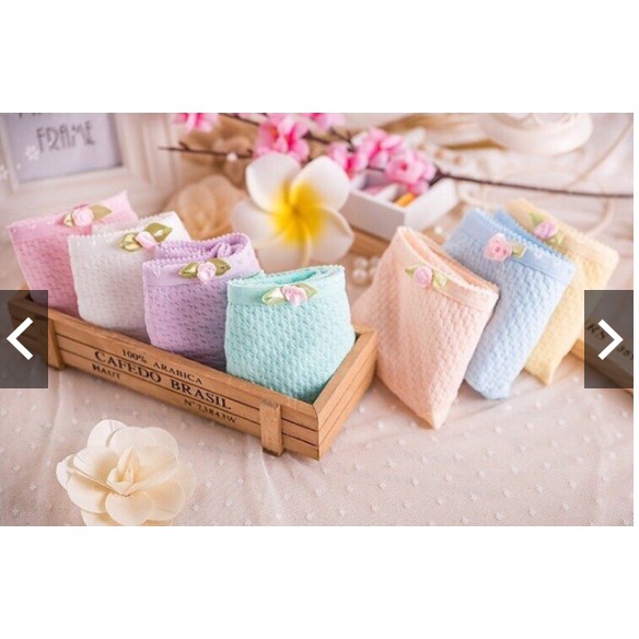 [ quần lót] 10 quần lót cotton, quần lót điều hoà, quần lót ren, quần lót thông hơi, quần lót đúc, quần su | BigBuy360 - bigbuy360.vn