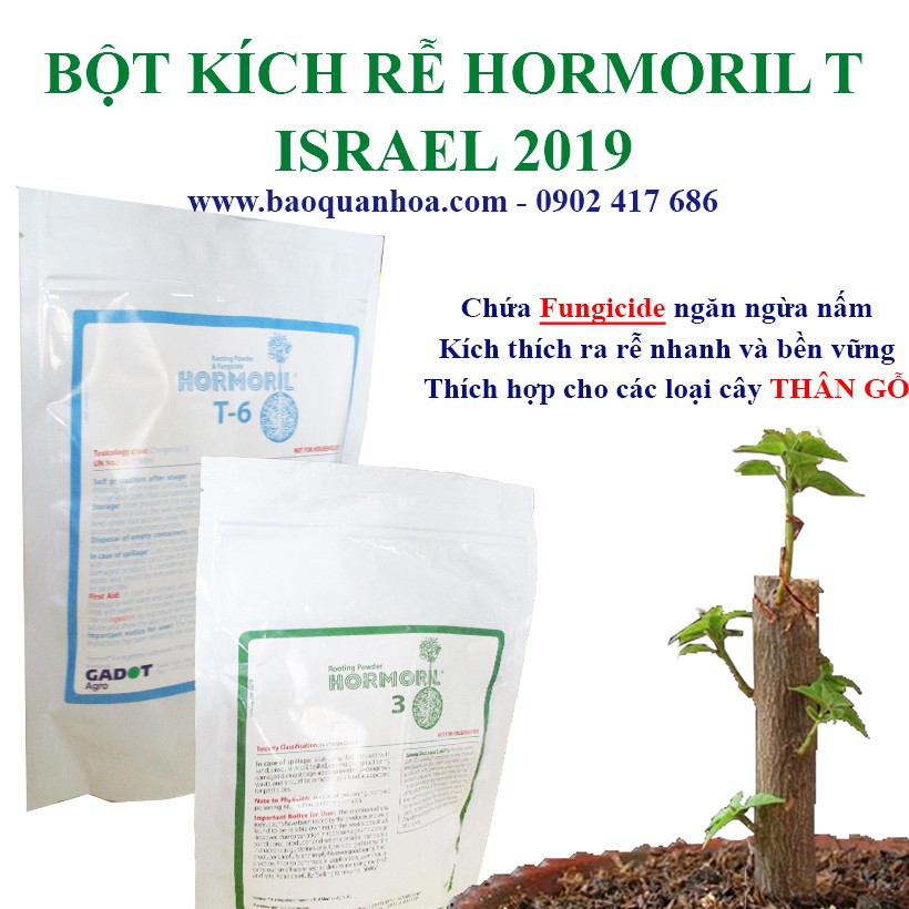 Bột Kích Ra Rễ Israel cho cây Thân Gỗ Hormoril 6 dành giâm chiết cành, nhân giống cây con như hoa hồng, hoa giấy ...