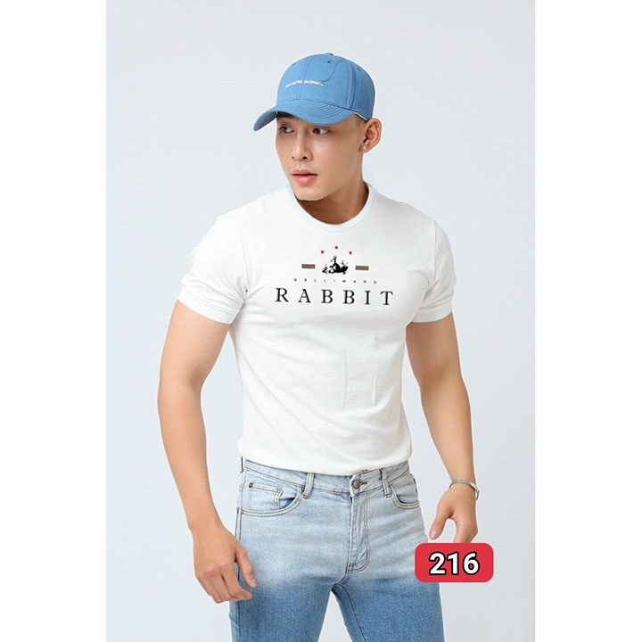 Áo thun nam cổ tròn tay ngắn vải thun cotton xịn mặc mát - ATN3